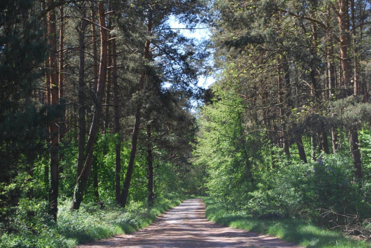 Szydlowiec Anastazewo Екстер'єр фото