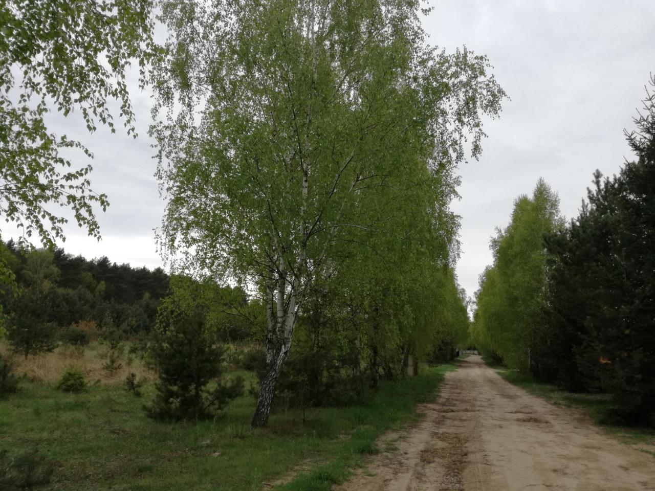 Szydlowiec Anastazewo Екстер'єр фото